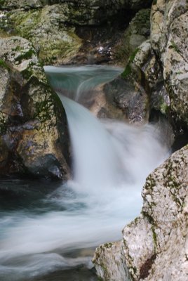 DSC_0786.JPG