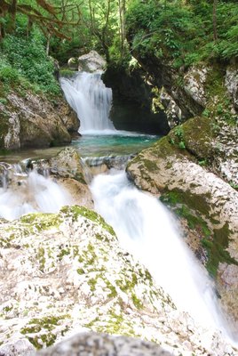DSC_0840.JPG