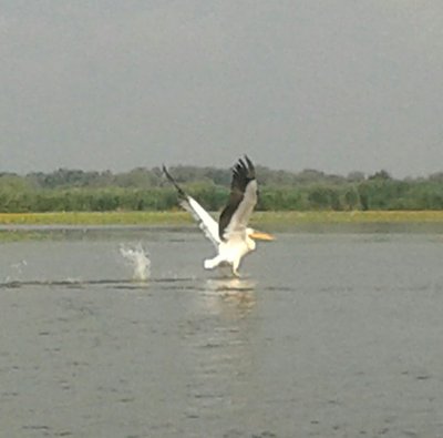 20150616_094101~2.jpg