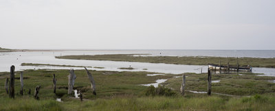 DSC00693.jpg