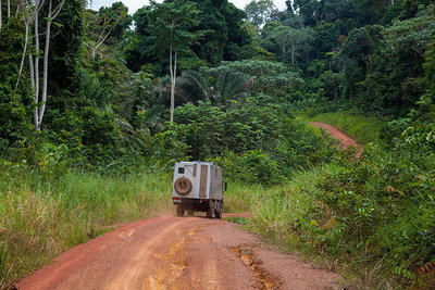 2015 mantoco Weltreise Gabun Regenwaldpiste an der Grenze zu Aequatorialguinea.jpg