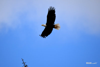DSC_2478 Kopie.jpg