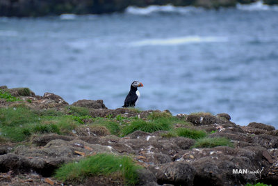 DSC_3483 Kopie.jpg