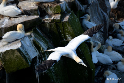 DSC_3713-1.jpg