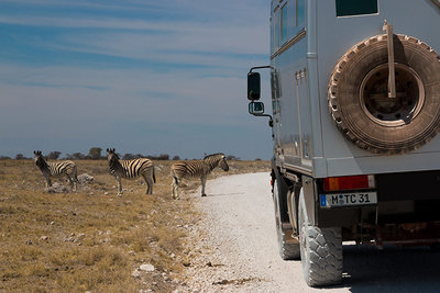 2015 mantoco Weltreise Namibia Etosha Nationalpark Manni bei den Zebras.jpg