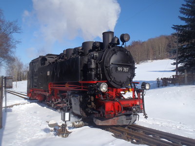 P3150088a.JPG