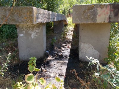 34 Ölwechsel in der Natur.jpg