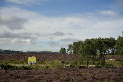 DSC01302.jpg