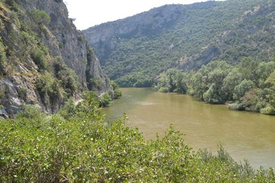 2015-08-02_13-25-04_ok.jpg