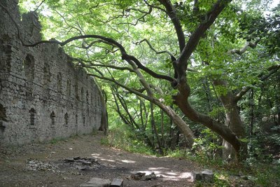 2015-08-08_14-06-12_ok.jpg
