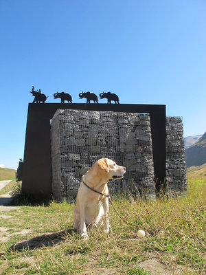 03_Mt Cenis Anibal&Elefanten.jpg