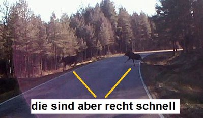 bild 26.jpg