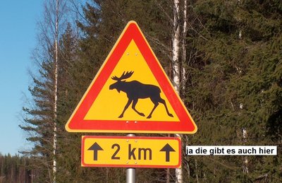 bild 25.JPG