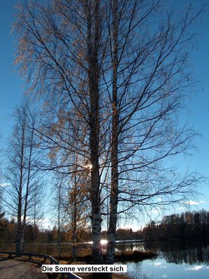 bild 22.JPG