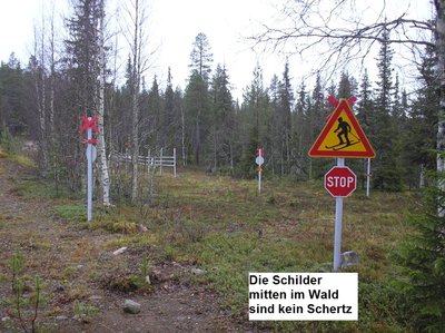 bild 10.JPG
