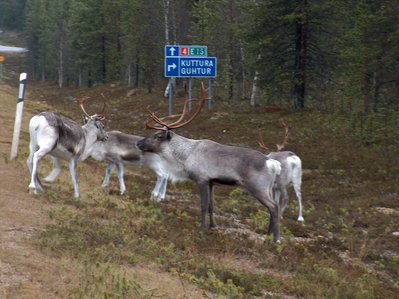 bild 07.JPG