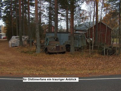 bild 31.JPG