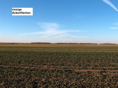 bild 15.JPG