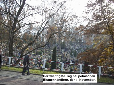 bild 27.JPG