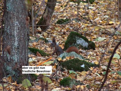 bild 24.JPG