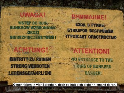 bild 22.JPG