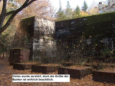 bild 16.JPG