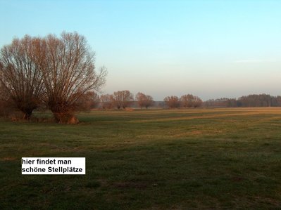 bild 49.JPG