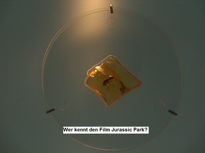 bild 43.JPG