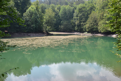 2015-08-13_11-39-30_ok.jpg
