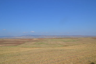 2015-08-16_08-42-33_ok.jpg
