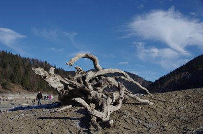 20151213_121559_Fall_Sylvenstein_016.JPG
