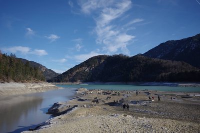 20151213_125953_Fall_Sylvenstein_062.JPG