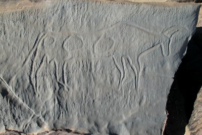 Geflecktes Rind .