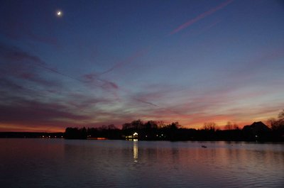 20111228_174050_Muellrose_016.JPG