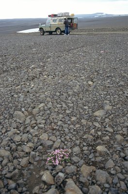 01-076a.JPG