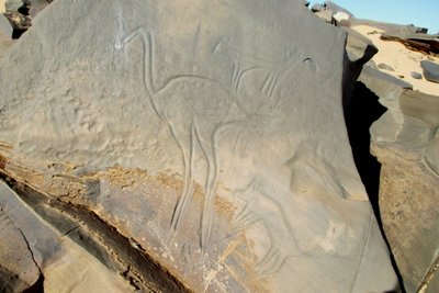 Unser Faforit . Angriff auf einen Strauß . Wir haben hier mehr als 100 Grafuren gefunden . Die ältesten ca. 14.000 Jahre alt . Sehr schön , das es so etwas noch gibt . Leider sind viele Grafuren die nicht so schwer zu erreichen sind , nicht mehr da , oder zerstört .