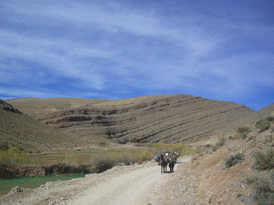 CIMG6786.JPG