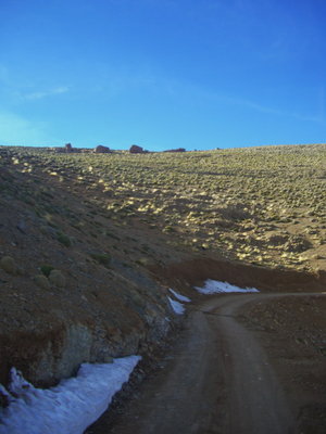 CIMG6867.JPG
