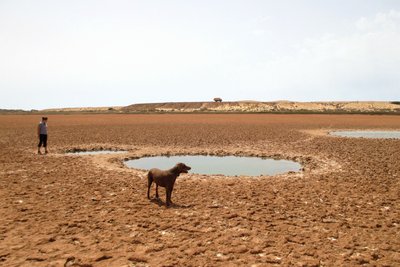 Über 20 Wasserlöcher , in jedem hunderte von kleinen Fischen -<br />Le Tilapia de Guineè .....