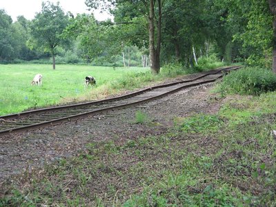 schwege.jpg
