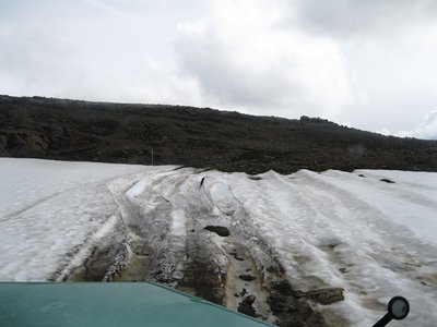 IMG_2505k.jpg