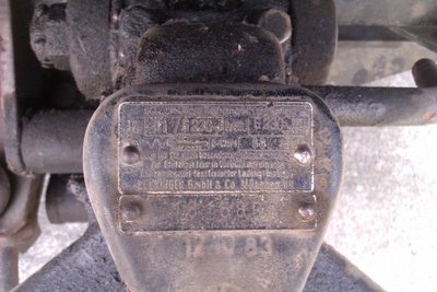 IMAG0353_web.jpg