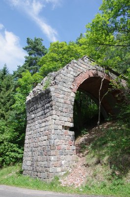 20160802_115401_Kozin_002.JPG