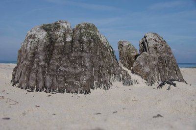 20160803_083203_Leba_Strand_012.JPG