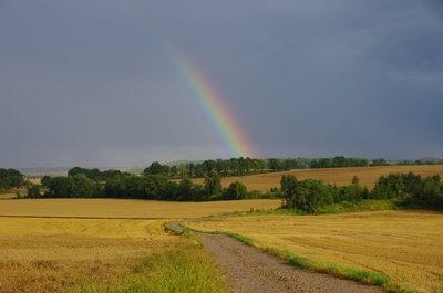 20160806_170950_Unterwegs_004.JPG