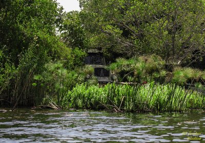 Okavango -Nguma Lagune-.jpg