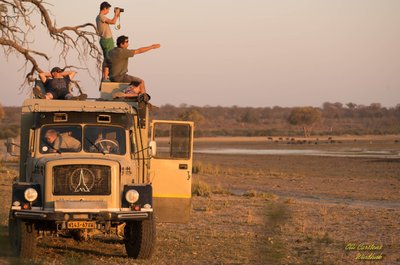 Sundowner  am  Okavango.jpg