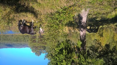 WP_20160904_15_33_19_Pro.jpg