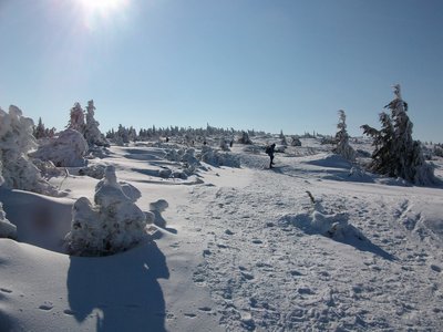 IMGP3886.JPG