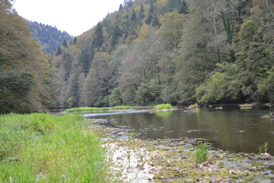 2016-10-11_13-28-49_ok.jpg